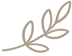 Donation category icon